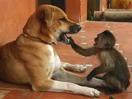 20 Funny Dentist Jokes – Boys' Life magazine